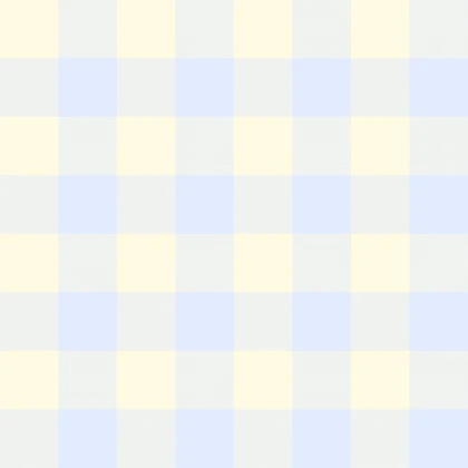 ୨୧ ꒱ cutecore plaid pattern