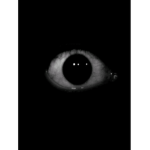 Watching you :)