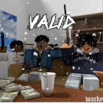 ~Valid Nation~