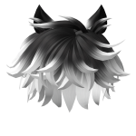 Catboy Hair Black and White Fade