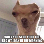 People are awesome because they Oof