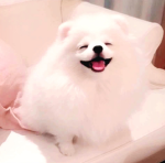 냐하~~