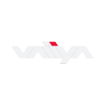 VAIIYA CYBER SECURITY