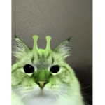 -KATS-