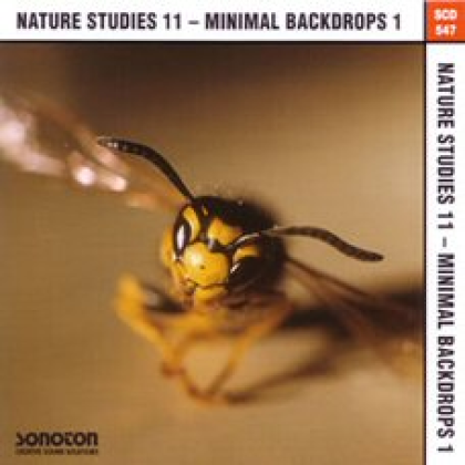 Acoustic Atmosphere Roblox music