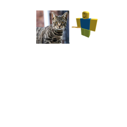 chaos cats testing