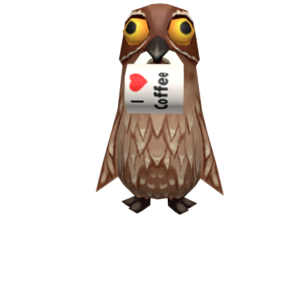 All Nighter Potoo