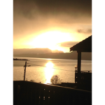 Sunshine_sqad