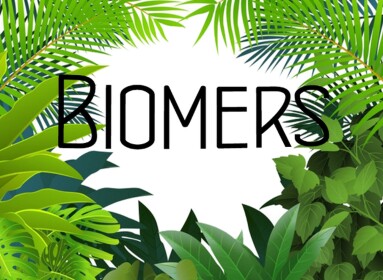 Biome Obby