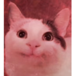 CALM ROYAL CANIN YES