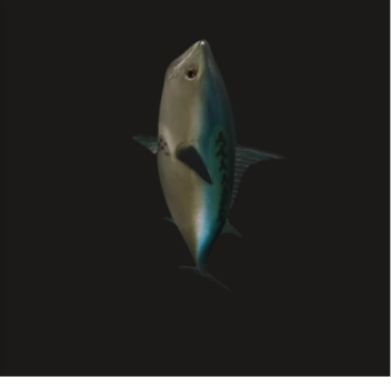 STEAL A BRAINROTZ V6