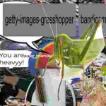 getty-images-grasshopper bandicam awsome games