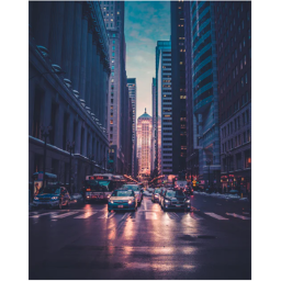 THE BIG CITY