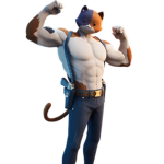 Meowscles