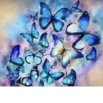 Beautiful Blue Butterfly Boutique
