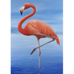 ~Flamingo Kingdom~