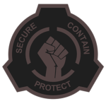 |MTF| {Mobile Task Force}