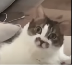 MYGCUH