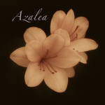 <Azalea>