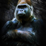 harambe EMPIRE
