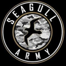 Air Force Seagull