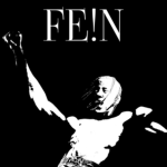 FE!N Group