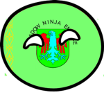 Shadow Ninja Empire