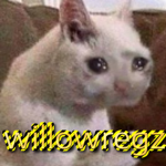 willowregz