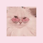 Alya’s anime fan group