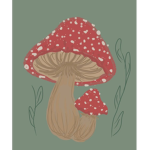 Mushrooms or fairys