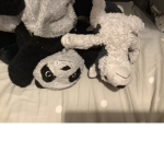 The Epic Panda Group