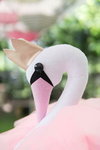 Swan Soiree Dance Company