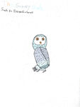 BS's Snowy owls