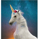 The life Of a Unicorn