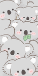 Freind and koala group