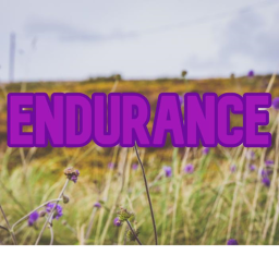 END - Endurance