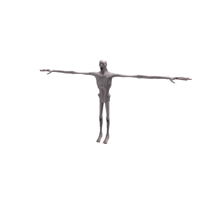 scp-096 sl rig animated