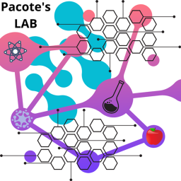 Palab Test [Pacote's Lab]