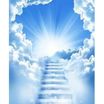 Heavens Kingdom