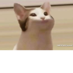 PopCat Nation (army)