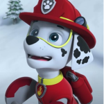 Paw-Tastic Apparel