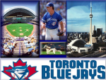 Toronto Blue Jays fans