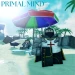 Primal Mind icon