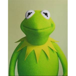 the kingdom of kermit