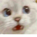 Kitty Cupcake Master Gaming Fans
