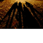 The Shadow Fam.