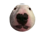 lollliepop buddys