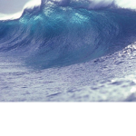 Tsunami clan (has merch)