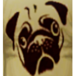 Pugs fan group.