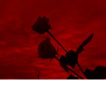 - L O S T -
